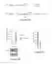 Fig. 55 - LIN28- MEDIATED CONTROL OF LET-7 BIOGENESIS