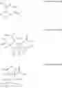 Fig. 03 - Modified isobutylene-isoprene rubber, production method for same and cured material of same