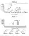 Fig. 05 - Process for preparing functional polymers through addition of amino and polymeryl groups to aldehyde moieties