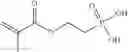 Fig. 15 - Copolymers having phosphorus group-carrying monomeric units