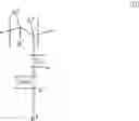 Fig. 33 - Copolymers having phosphorus group-carrying monomeric units