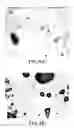 Fig. 04 - Modified amine curing agents, their preparation and use in curable compositions