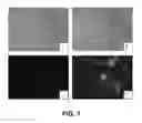 Fig. 02 - DYES FOR ANALYSIS OF PROTEIN AGGREGATION