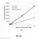 Fig. 08 - DYES FOR ANALYSIS OF PROTEIN AGGREGATION