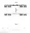 Fig. 02 - METHOD FOR PRINTING MULTI-CHARACTERISTIC INTAGLIO FEATURES