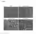 Fig. 46 - Pluripotent stem cell manufacturing system and method for producing induced pluripotent stem cells