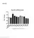 Fig. 09 - Oligonucleotide-based inhibitors comprising locked nucleic acid motif
