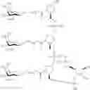 Fig. 118 - Compositions and methods for modulating apolipoprotein (a) expression