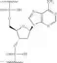 Fig. 130 - Compositions and methods for modulating apolipoprotein (a) expression