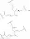 Fig. 148 - Compositions and methods for modulating apolipoprotein (a) expression