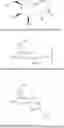 Fig. 177 - Compositions and methods for modulating apolipoprotein (a) expression