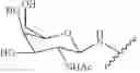 Fig. 180 - Compositions and methods for modulating apolipoprotein (a) expression