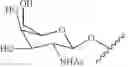 Fig. 181 - Compositions and methods for modulating apolipoprotein (a) expression