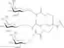 Fig. 207 - Compositions and methods for modulating apolipoprotein (a) expression