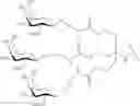 Fig. 209 - Compositions and methods for modulating apolipoprotein (a) expression