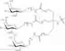 Fig. 210 - Compositions and methods for modulating apolipoprotein (a) expression