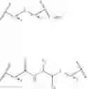 Fig. 25 - Compositions and methods for modulating apolipoprotein (a) expression