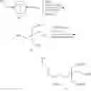 Fig. 255 - Compositions and methods for modulating apolipoprotein (a) expression
