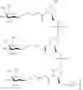 Fig. 312 - Compositions and methods for modulating apolipoprotein (a) expression