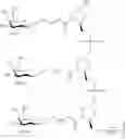 Fig. 336 - Compositions and methods for modulating apolipoprotein (a) expression