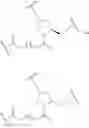 Fig. 387 - Compositions and methods for modulating apolipoprotein (a) expression