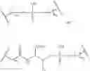 Fig. 63 - Compositions and methods for modulating apolipoprotein (a) expression