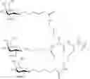 Fig. 79 - Compositions and methods for modulating apolipoprotein (a) expression