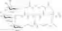 Fig. 82 - Compositions and methods for modulating apolipoprotein (a) expression