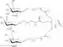 Fig. 84 - Compositions and methods for modulating apolipoprotein (a) expression