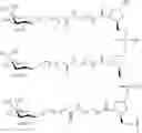 Fig. 94 - Compositions and methods for modulating apolipoprotein (a) expression