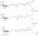 Fig. 96 - Compositions and methods for modulating apolipoprotein (a) expression