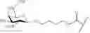 Fig. 99 - Compositions and methods for modulating apolipoprotein (a) expression
