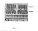 Fig. 03 - Reduced gluten grains and compositions thereof