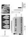 Fig. 09 - METHODS OF INCREASING VIRUS RESISTANCE IN CUCUMBER USING GENOME EDITING AND PLANTS GENERATED THEREBY