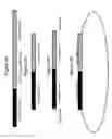 Fig. 04 - PROTECTED DNA TEMPLATES FOR GENE MODIFICATION AND INCREASED HOMOLOGOUS RECOMBINATION IN CELLS AND METHODS OF USE