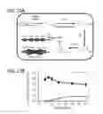Fig. 45 - Biosynthesis method with host cell and quality control system