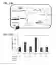 Fig. 46 - Biosynthesis method with host cell and quality control system