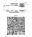 Fig. 02 - METAL-ORGANIC FRAMEWORK NANOSHEET