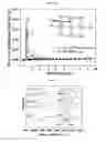 Fig. 06 - METAL-ORGANIC FRAMEWORK NANOSHEET