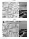 Fig. 08 - METAL-ORGANIC FRAMEWORK NANOSHEET