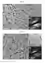Fig. 09 - METAL-ORGANIC FRAMEWORK NANOSHEET