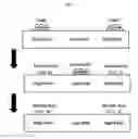 Fig. 06 - NUCLEIC ACID SAMPLE PREPARATION