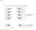 Fig. 02 - Universal hairpin primers