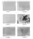 Fig. 07 - Grain boundary engineering of polycrystalline shape memory alloys by phase manipulation for enhanced mechanical ductility and application fatigue life