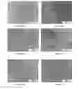 Fig. 08 - Grain boundary engineering of polycrystalline shape memory alloys by phase manipulation for enhanced mechanical ductility and application fatigue life
