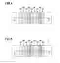 Fig. 04 - ATOMIC LAYER DEPOSITION APPARATUS AND ATOMIC LAYER DEPOSITION METHOD