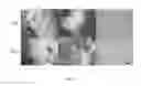 Fig. 06 - Facile methods for fabricating a uniformly patterned and porous nanofibrous scaffold