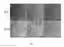 Fig. 08 - Facile methods for fabricating a uniformly patterned and porous nanofibrous scaffold