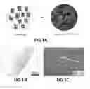 Fig. 02 - Method for manufacturing graphene fiber