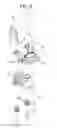 Fig. 09 - Washing Machine and Micro-Bubble Generator Thereof